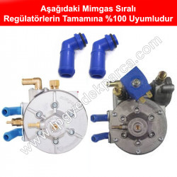 Mimgas Sıralı Beyin Su Dirseği