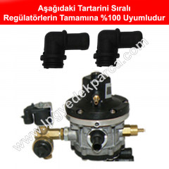 Tartarini Sıralı Beyin Su Dirseği
