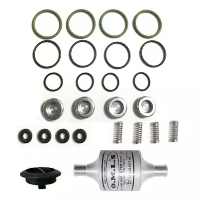 Landirenzo Evo Enjektör Tamir Seti