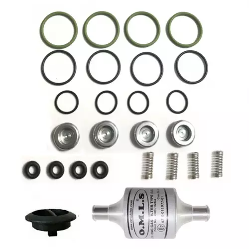 Landirenzo Evo Enjektör Tamir Seti