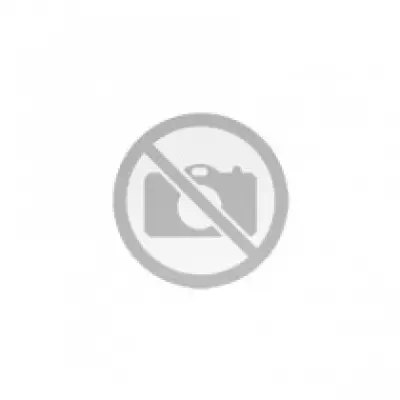 Prins VSI 1-2-3 Tipi Regülatör Tamiri - Faturalı Garantili