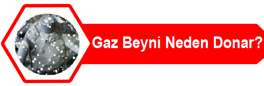 Gaz Beyni Neden Donar