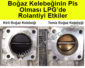 Gazda Rolantide Sarsıntılı Çalışma